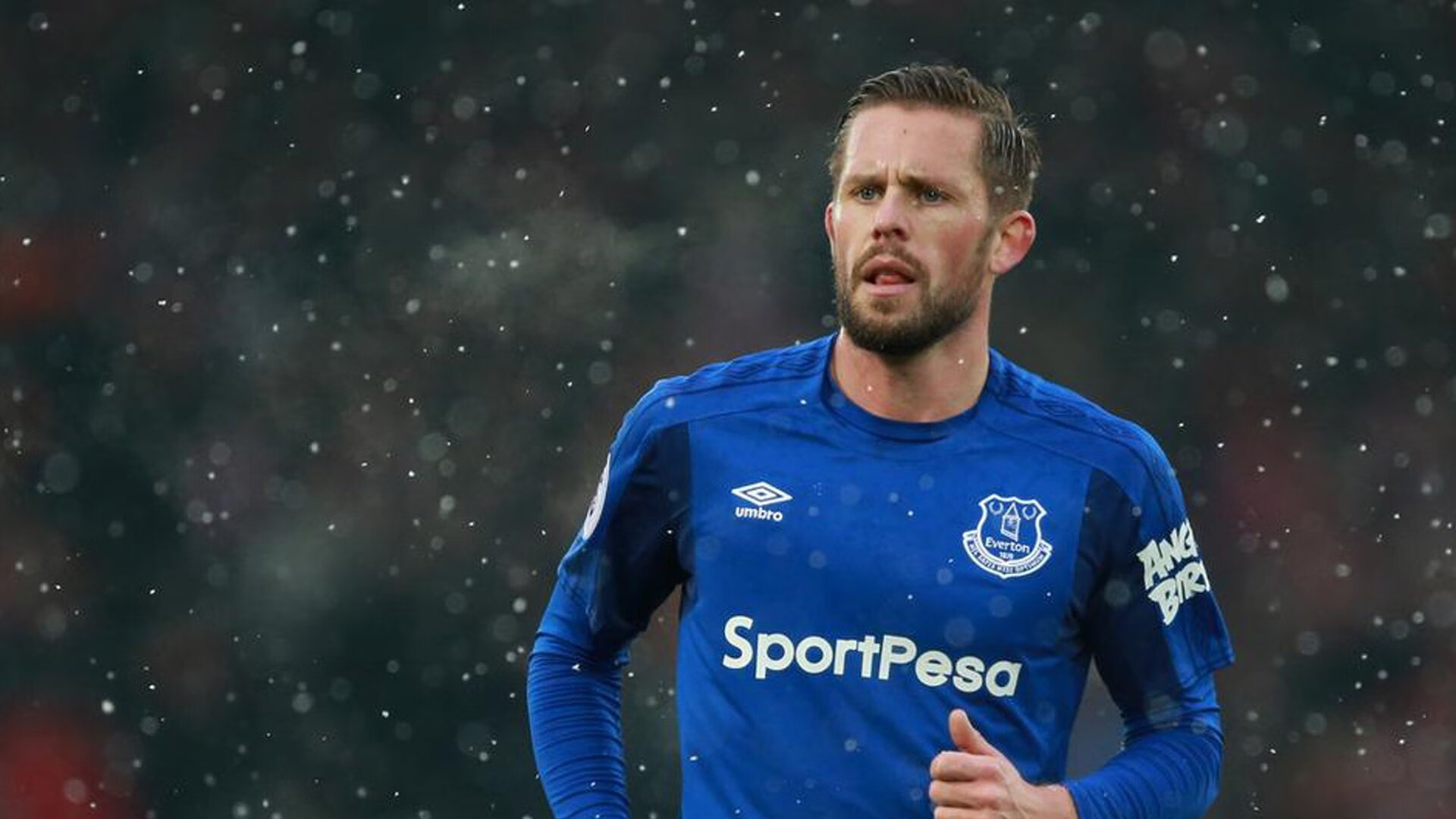 浮潜海底漂流:海底世界的奇妙冒险,浮潜介绍